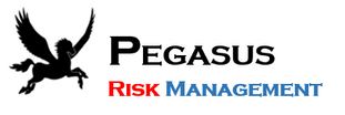 Pegasus Risk Management 