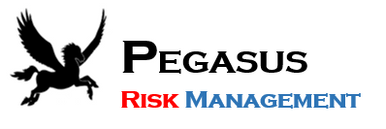 Pegasus Risk Management 