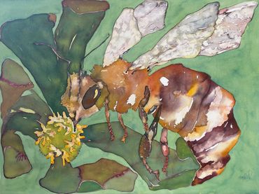 Bee & Sunflower I
Watercolor