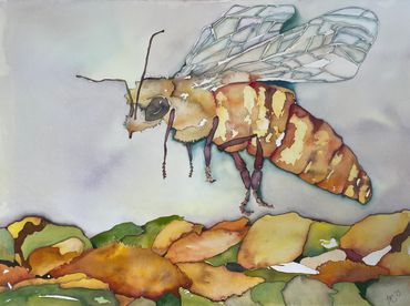 Bee & Sunflower II
Watercolor