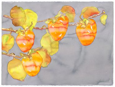 Persimmon Quartet
Bounty Series
Watercolor