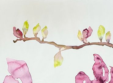 Magnolia Blooms
Original Watercolor & Cold Wax
Live Edge Deckle Mount
$1,400.00