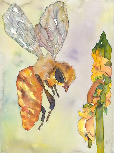 Bee & Sunflower III
Watercolor