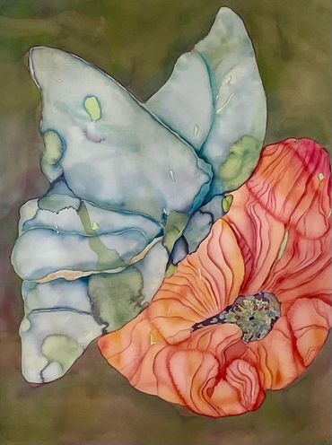 Butterfly & Poppy
Watercolor