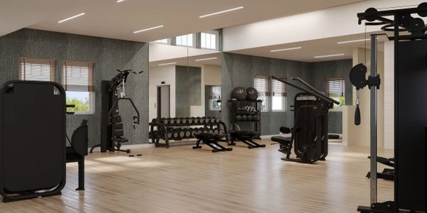 A spacious, modern gym with various exercise machines and free weights.