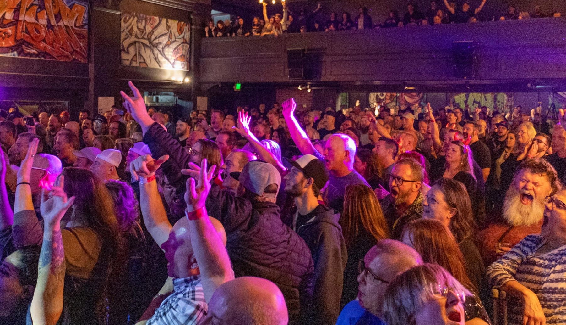 Screaming crowd enjoying live music