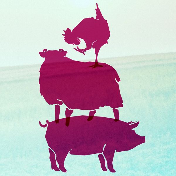 Silhouettes of a chicken, sheep, and pig stacked creatively in purple.