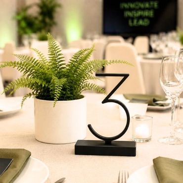 Table number 3 with a potted plant and candles at a formal event.