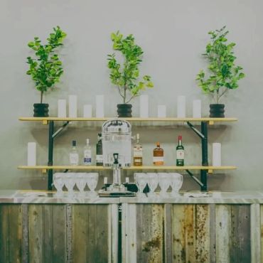 Rustic bar setup with plants and liquor bottles.
