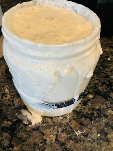 Bruno - my sourdough starter