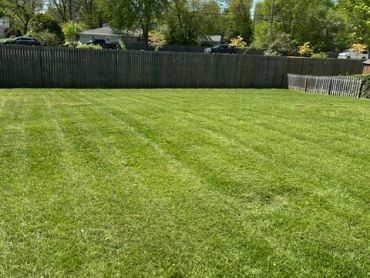 A neatly mowed backyard with trees and a fence.