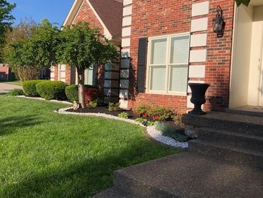 Neatly landscaped front yard of a brick house.