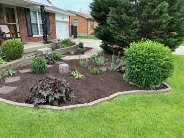 Well-maintained garden bed with shrubs and mulch in front of a house.