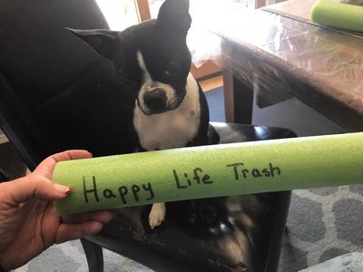 Prescott and Prescott Valley Locally Owned Dumpster Rental Company