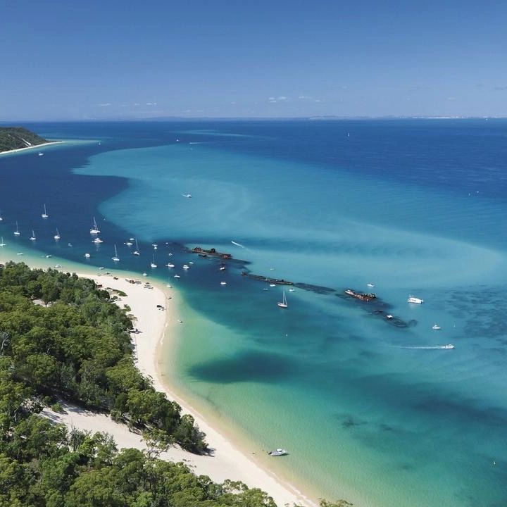 Scenic Flights
Tangalooma Wrecks