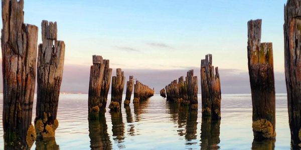 An image of weathered wooden piers coming out of the water and visible into the distance.