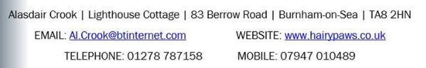 Business contact information for Alasdair Crook at Lighthouse Cottage, Burnham-on-Sea.