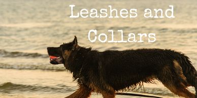 Leashes and collars