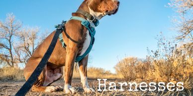 Harnesses