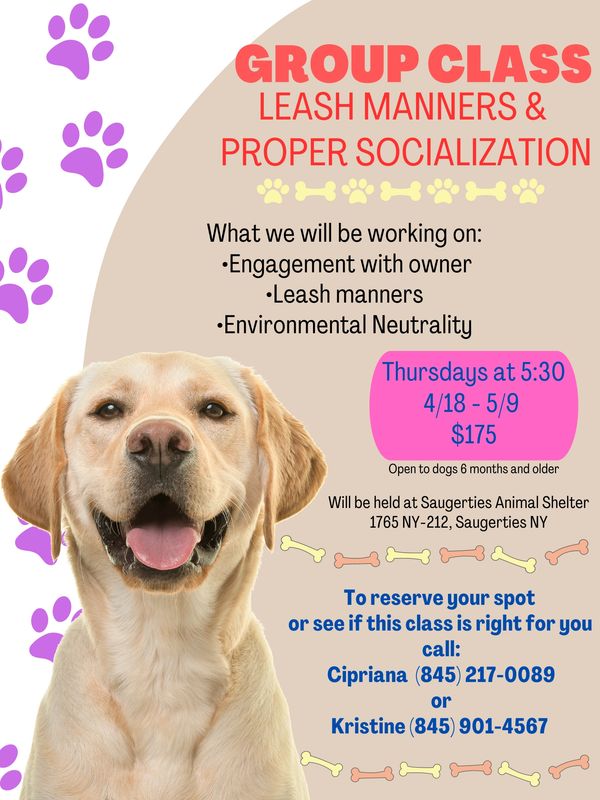 leash manners and socialization class flyer 4/18/24-5/9/24