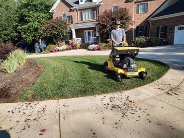 Plugging and overseeding