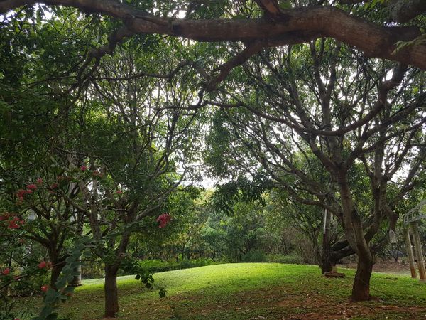 Destination Wedding Venue in Bangalore