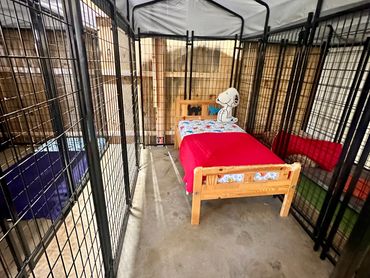 Small Luxury Kennel