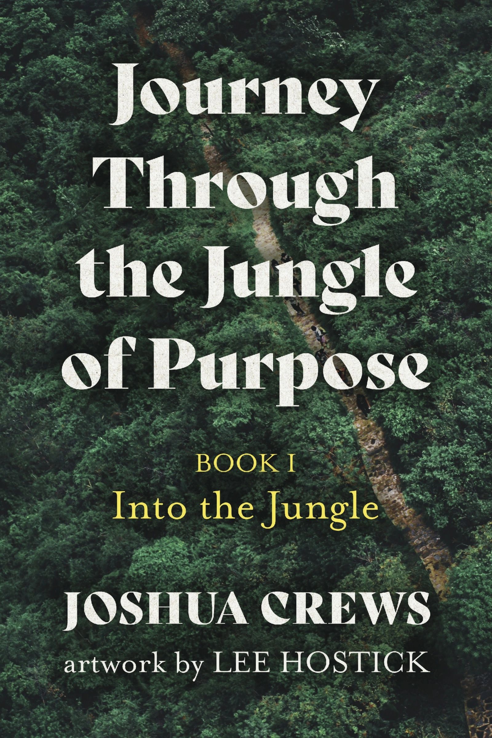 Cover image - Journey Through the Jungle of Purpose: Book 1 - Into the Jungle