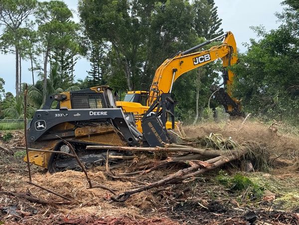 Heavy machinery clearing trees and debris in a forested area.
