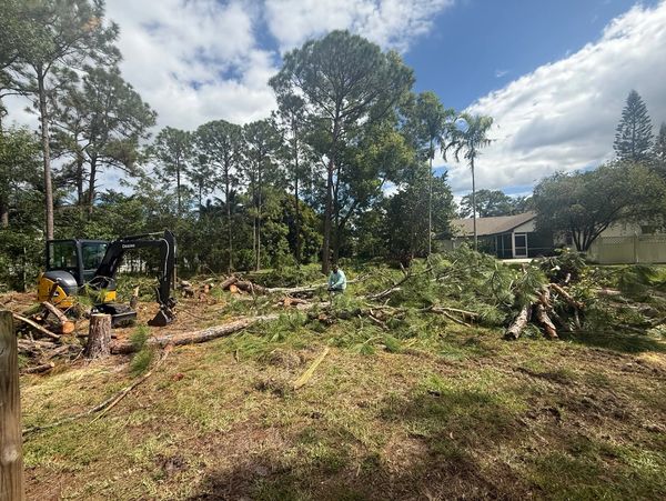 Excavator and worker clearing fallen trees in a residential area under a partly cloudy sky.