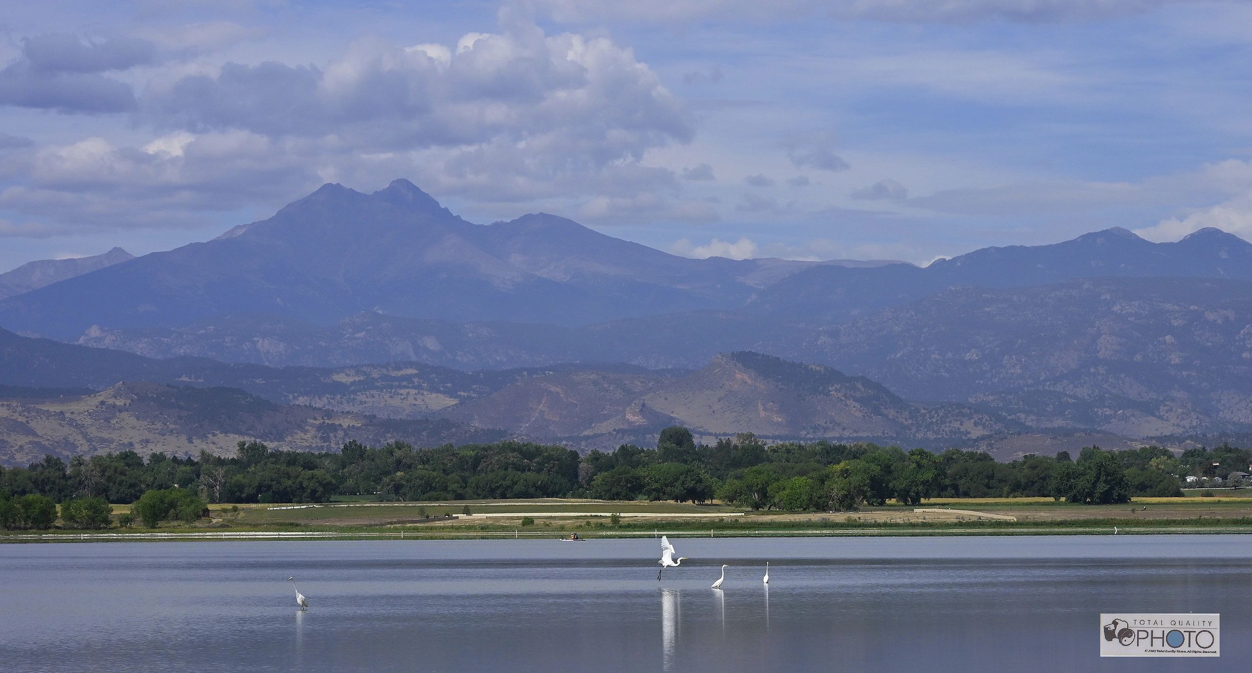 Herons and Longs Peak McIntosh Lake CO