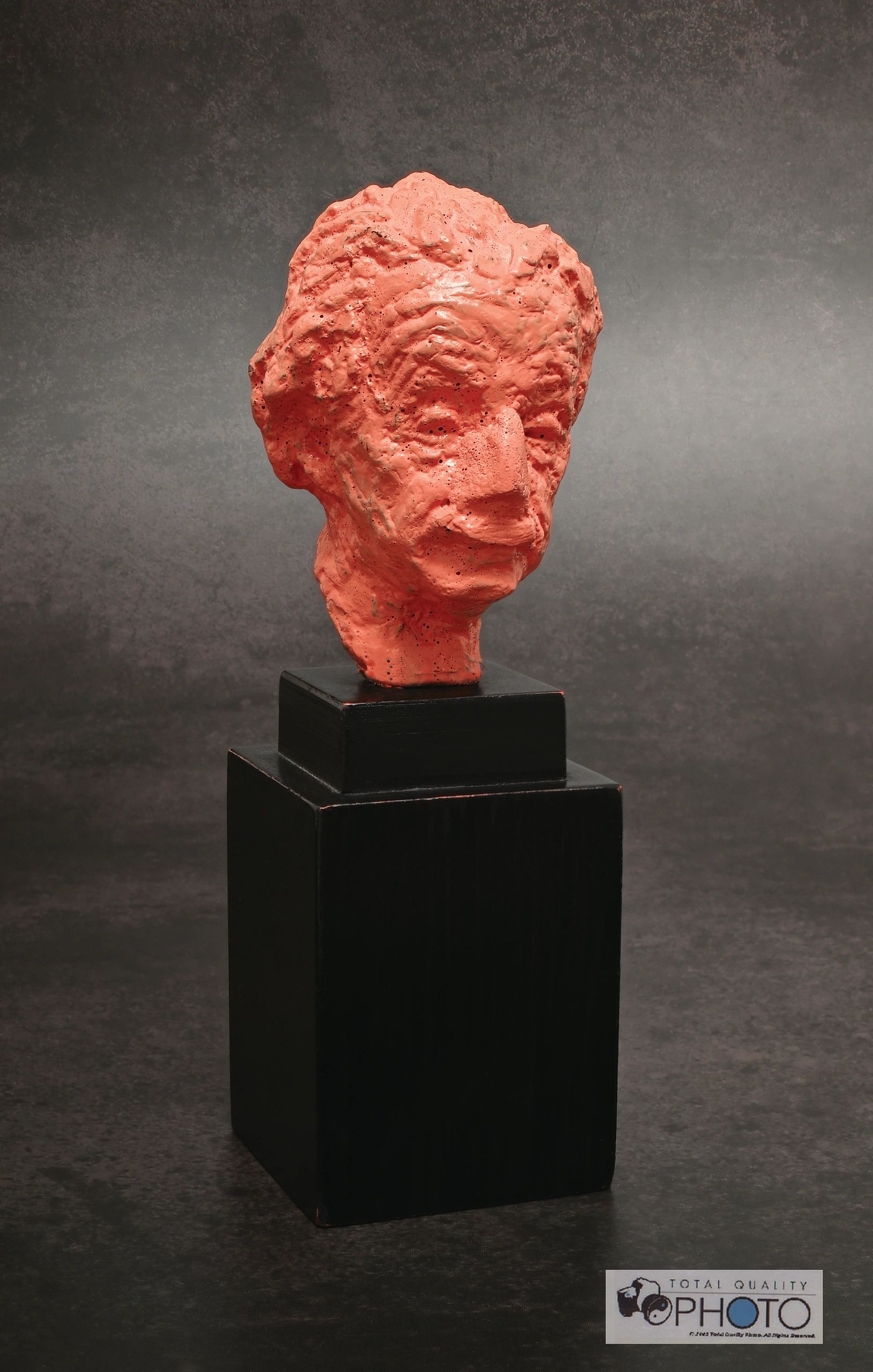 Albert Einstein Bust