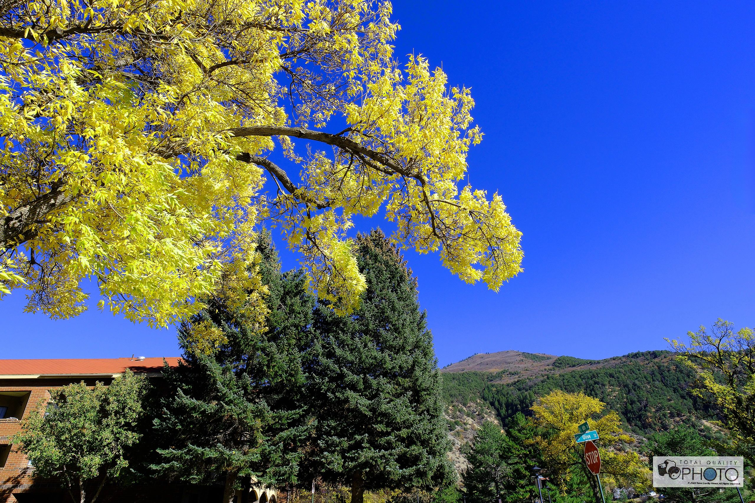 Fall Colors Glenwood Springs CO