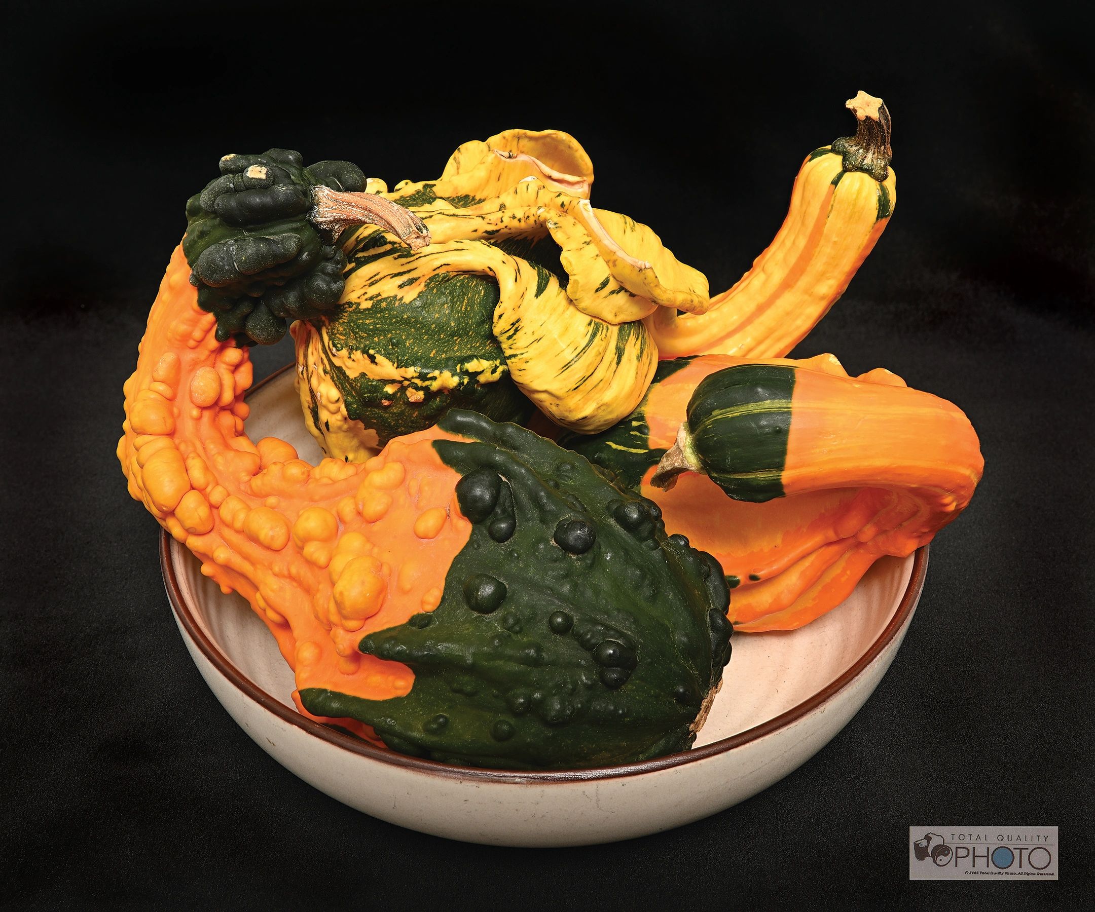 Gords in Bowl