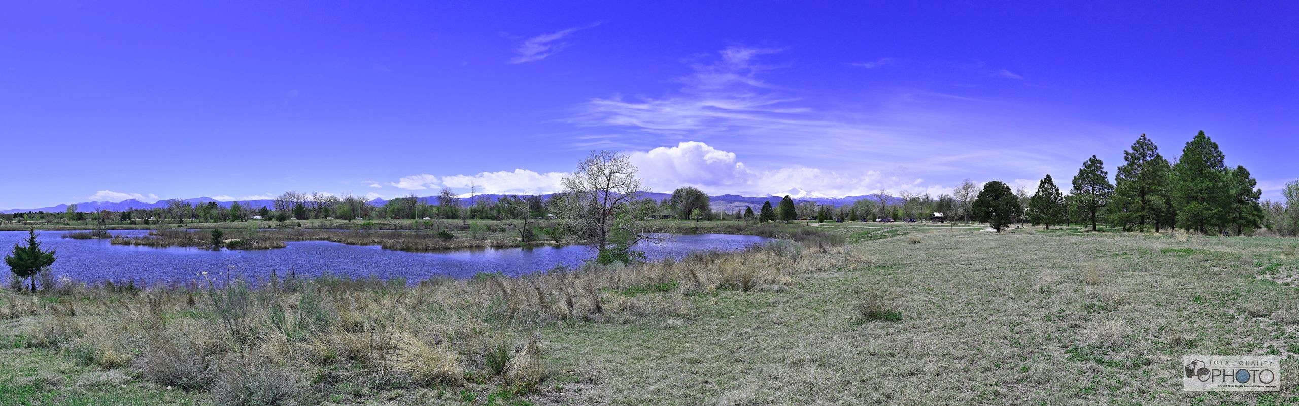 Rogers Grove Colorado  Panorama
