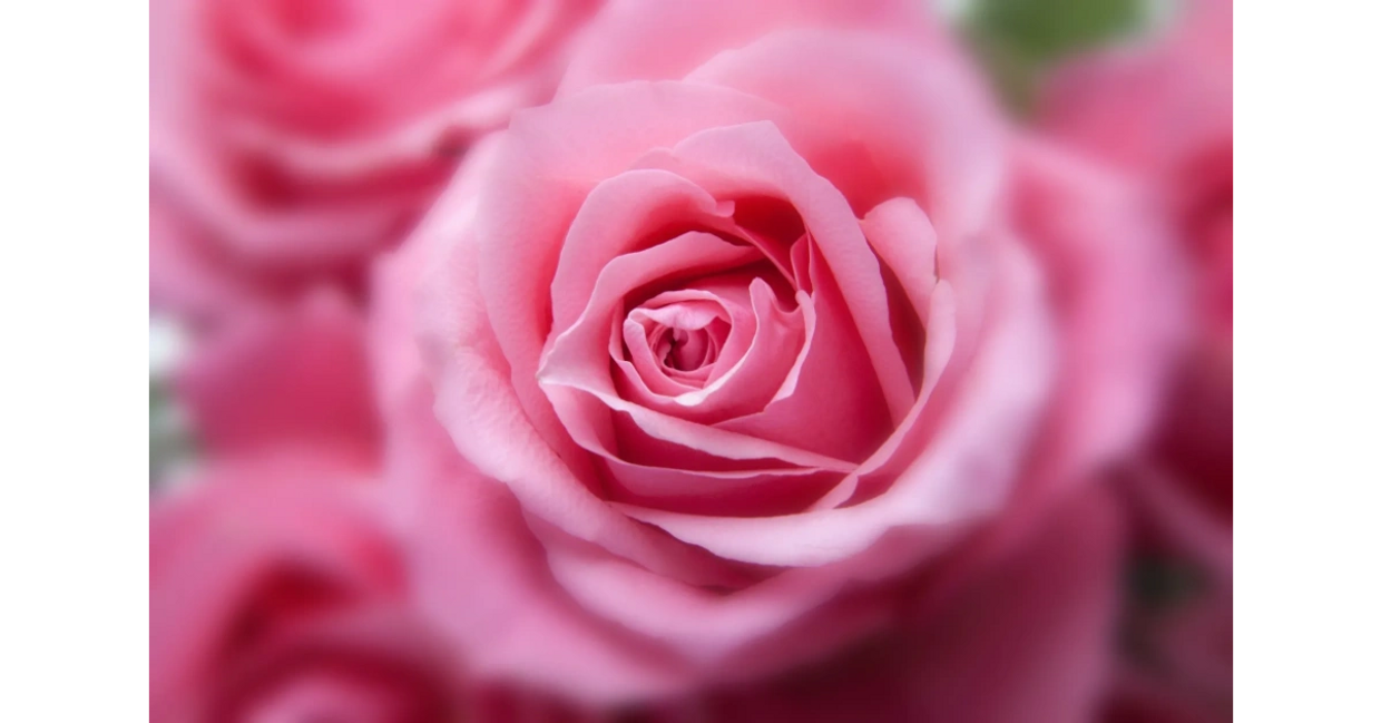 Soin énergétiques avec les énergies féminines sacrées, le soin d'Anna