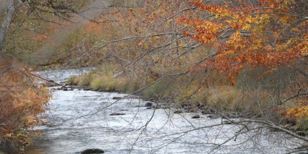 Fall picture of the Lackawanna River
