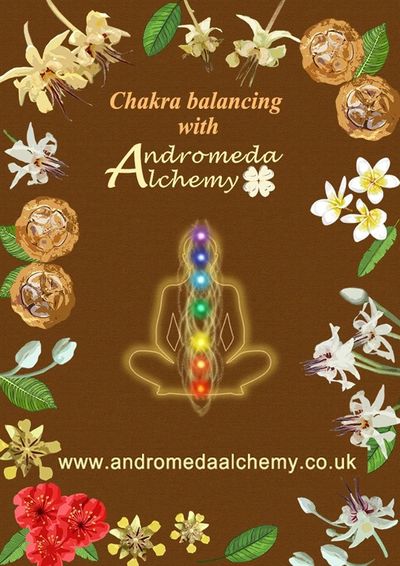 Cacao meditations with andromeda alchemy