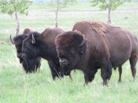 image978