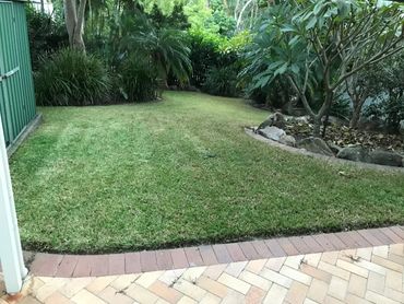 Coorparoo lawn care 
