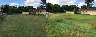 Before and after photos of large 1300m2 yard mowed with ride on mower
