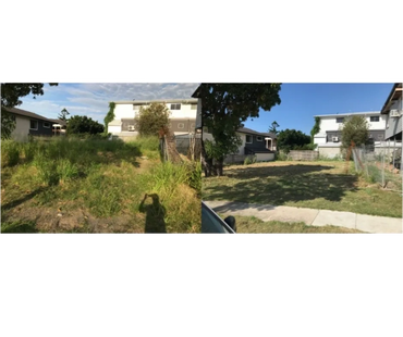 Before and after photos of an overgrown lawn mowed with zero turn mower.