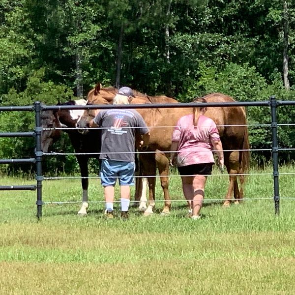 A couple of pasture boarded horses and their owners.