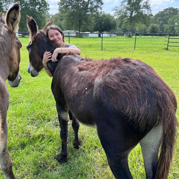 Donkey hugs are AMAZING! The Equine Experience at Big Hat Ranch.