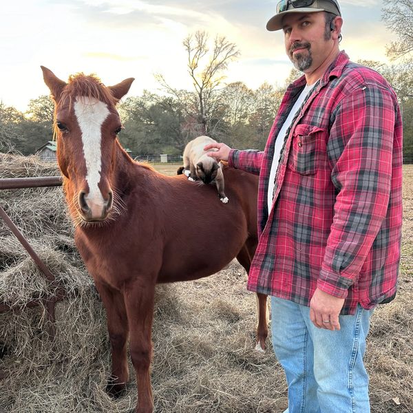 Rescued baby horse named Doc, barn cat named cotton, & barn hand.