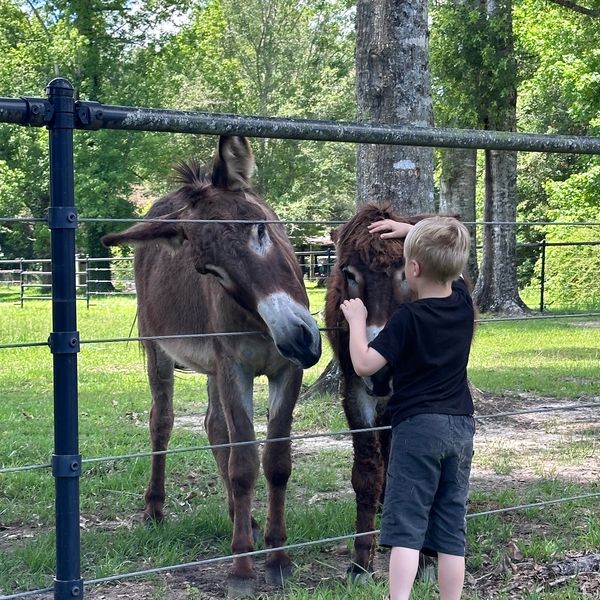 Farm experience in Mississippi. Gulf coast outdoor activities.
