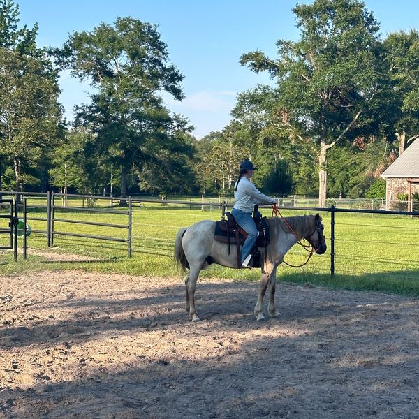 Horseback riding in the arena at the boarding facility near Ocean Springs, MS