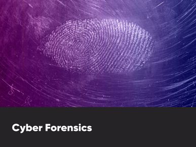 Cyber Forensics