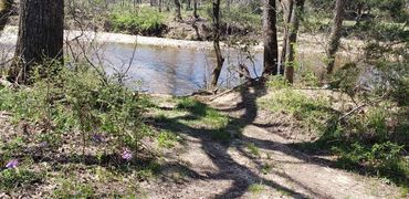 the creek at Little Creek Opry House