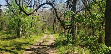 A dirt road at Little Creek Opry House